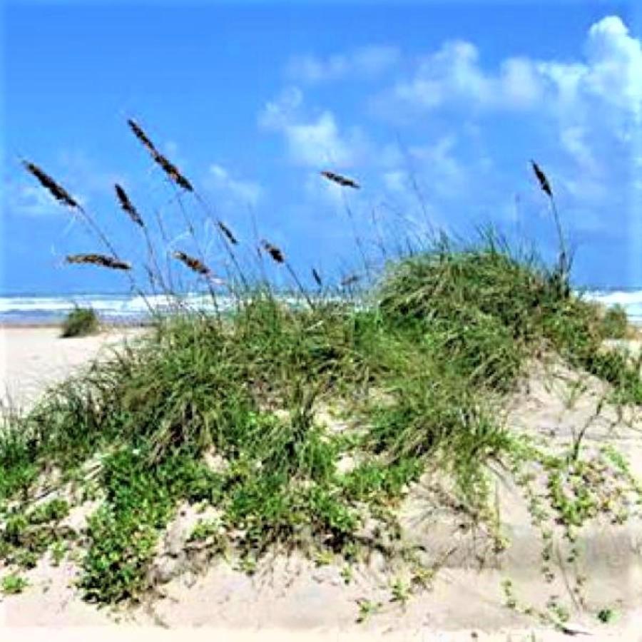 Village By The Gulf Gulf Shores Esterno foto